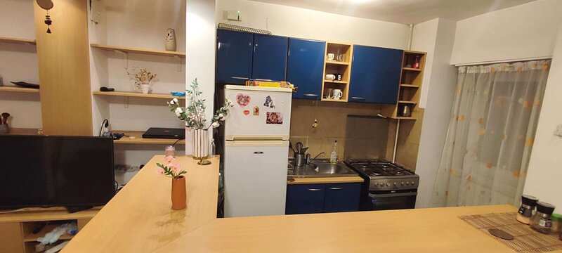 Nerva Traian, Octavian Goga